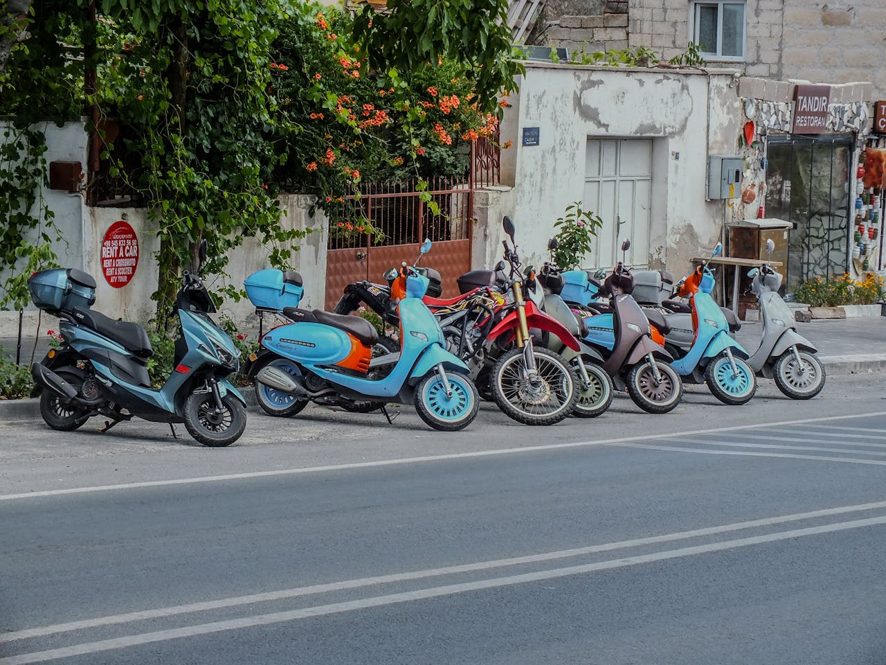 Vibrant scooters lined up on an urban street alongside greenery, showcasing urban transportation.